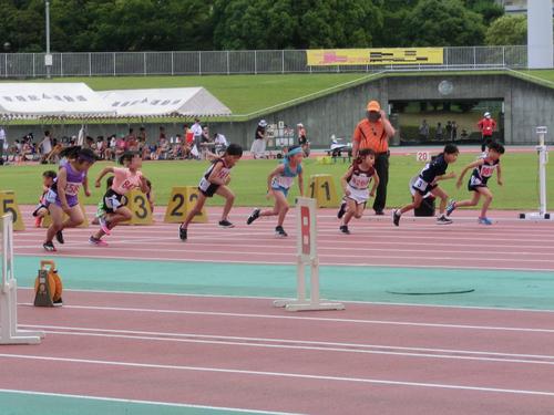 写真：第3回小学生チャレンジカップ静岡